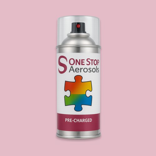 NCS S 1020-R20B Aerosol Spray Paint