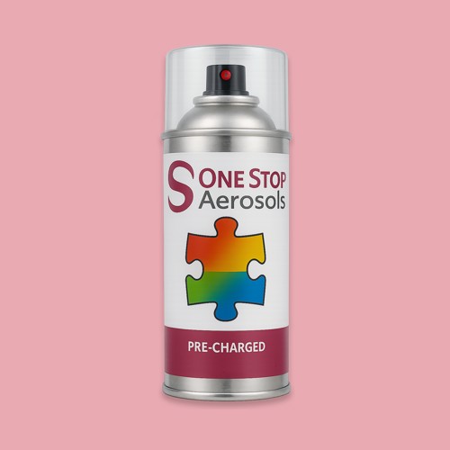 NCS S 1030-R10B Aerosol Spray Paint
