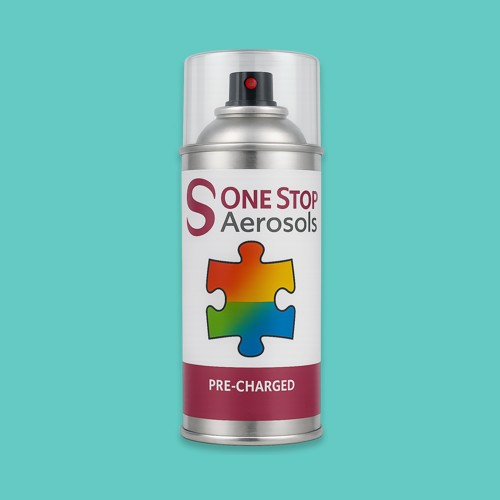 NCS S 1040-B60G Aerosol Spray Paint