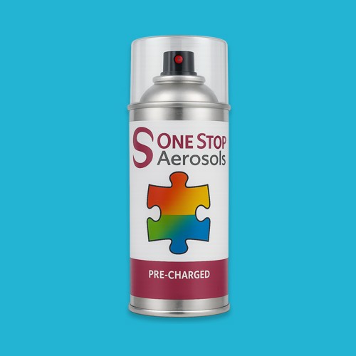 NCS S 1050-B10G Aerosol Spray Paint