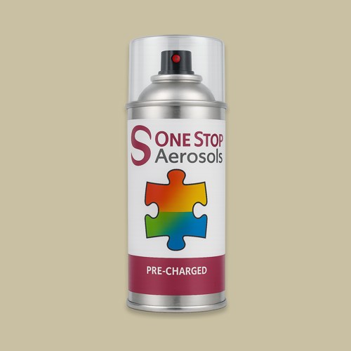 NCS S 2010 Y Aerosol Spray Paint
