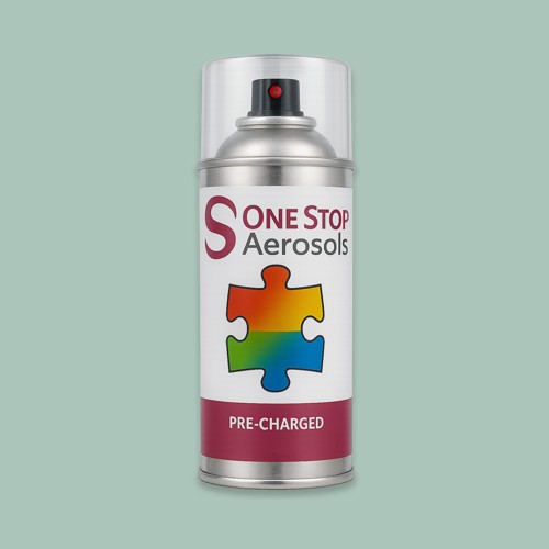 NCS S 2010-B90G Aerosol Spray Paint