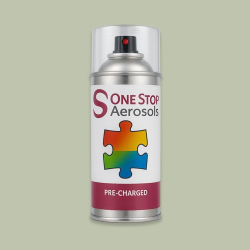 NCS S 2010-G50Y Aerosol Spray Paint