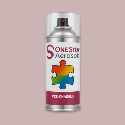 NCS S 2010-R Aerosol Spray Paint