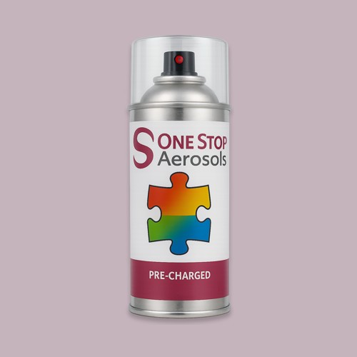 NCS S 2010-R30B Aerosol Spray Paint