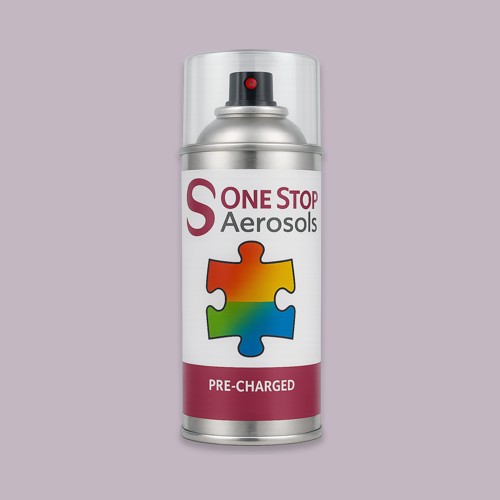 NCS S 2010-R40B Aerosol Spray Paint