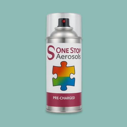 NCS S 2020-B70G Aerosol Spray Paint