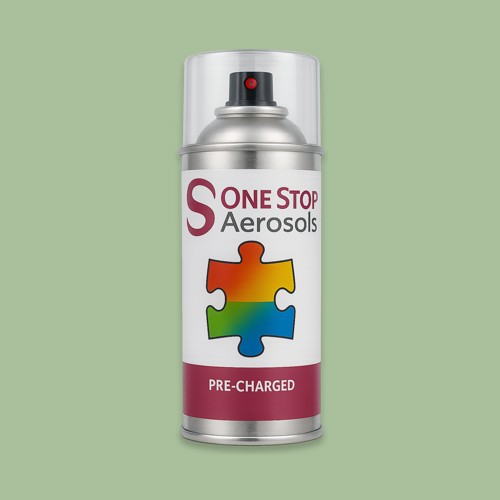 NCS S 2020-G30Y Aerosol Spray Paint