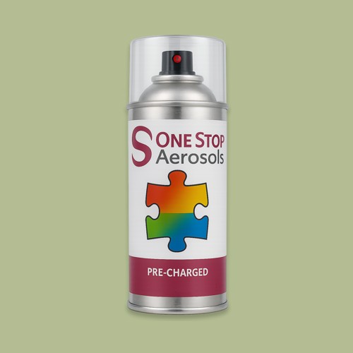 NCS S 2020-G50Y Aerosol Spray Paint