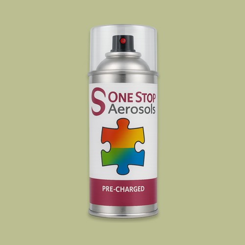 NCS S 2020-G60Y Aerosol Spray Paint