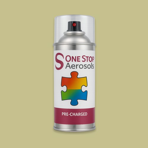 NCS S 2020-G80Y Aerosol Spray Paint