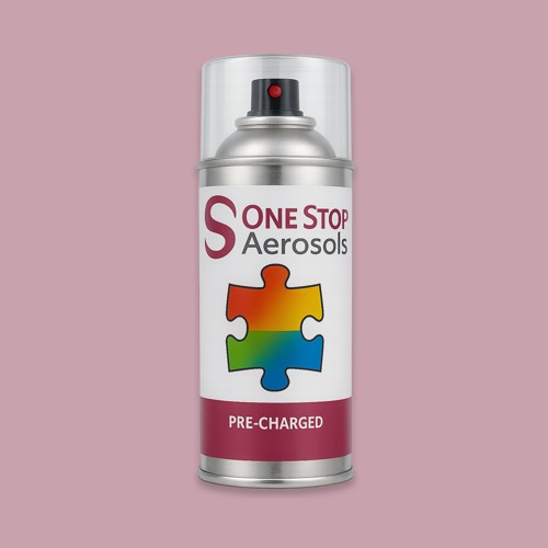 NCS S 2020-R20B Aerosol Spray Paint