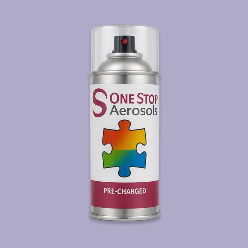 NCS S 2020-R60B Aerosol Spray Paint