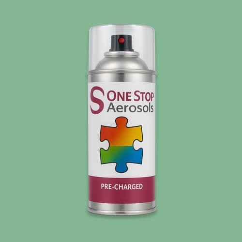 NCS S 2030-G10Y Aerosol Spray Paint