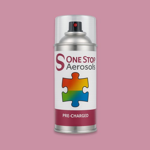 NCS S 2030-R20B Aerosol Spray Paint