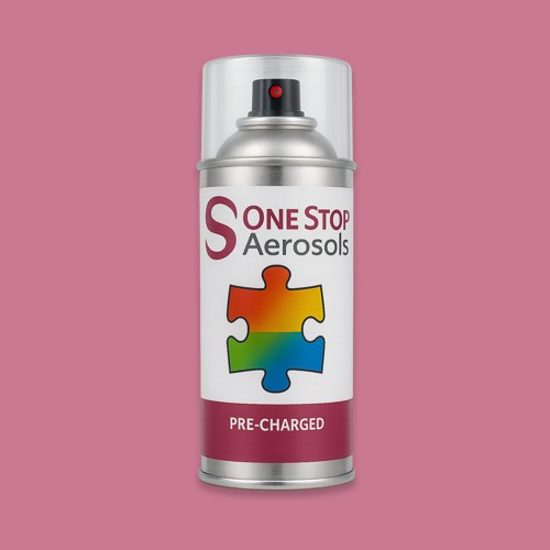 NCS S 2040-R20B Aerosol Spray Paint