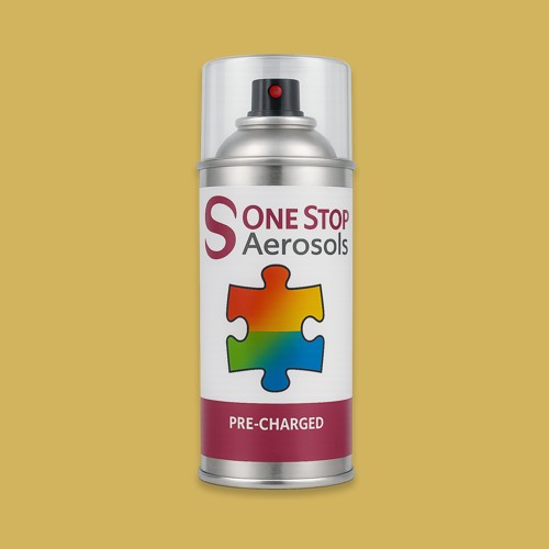 NCS S 2040-Y Aerosol Spray Paint