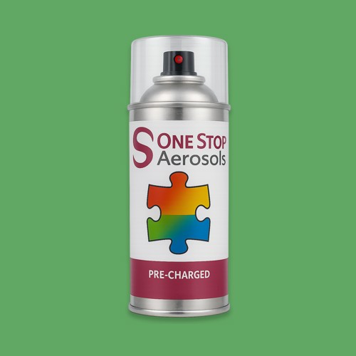 NCS S 2050-G20Y Aerosol Spray Paint
