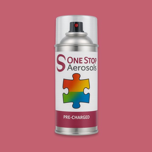 NCS S 2050-R10B Aerosol Spray Paint