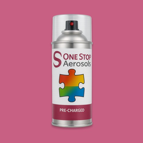 NCS S 2050-R20B Aerosol Spray Paint