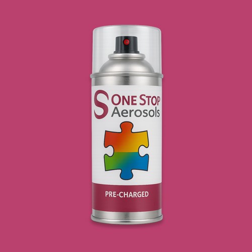 NCS S 2060-R20B Aerosol Spray Paint
