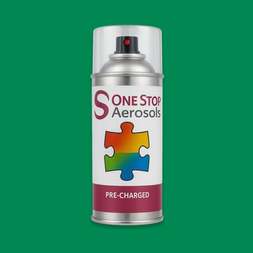 NCS S 2565-G Aerosol Spray Paint
