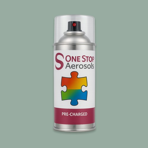 NCS S 3010-G Aerosol Spray Paint