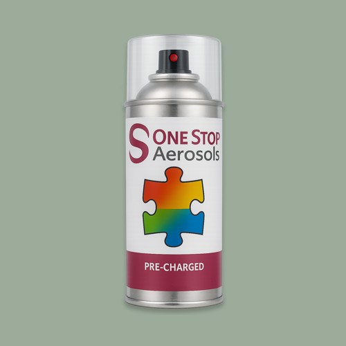 NCS S 3010-G20Y Aerosol Spray Paint