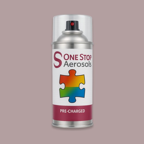 NCS S 3010-R10B Aerosol Spray Paint