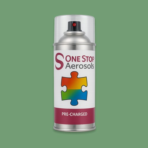 NCS S 3030-G20Y Aerosol Spray Paint