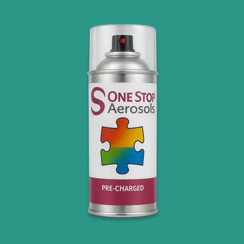 NCS S 3040-B80G Aerosol Spray Paint