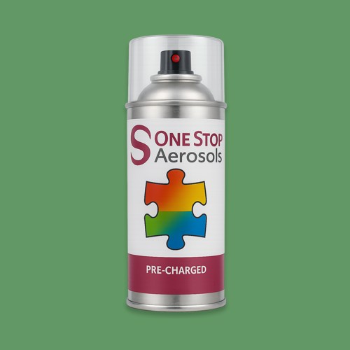 NCS S 3040-G20Y Aerosol Spray Paint
