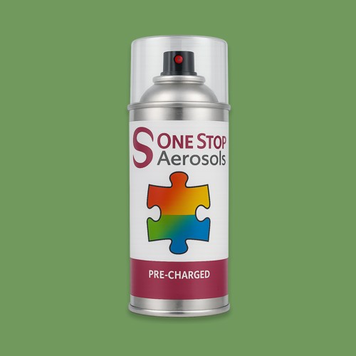 NCS S 3040-G30Y Aerosol Spray Paint
