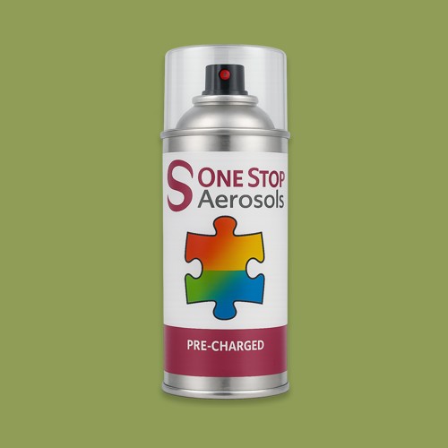 NCS S 3040-G50Y Aerosol Spray Paint