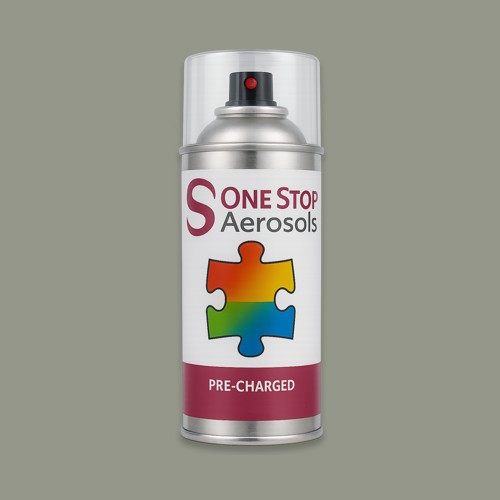 NCS S 4005-G50Y Aerosol Spray Paint