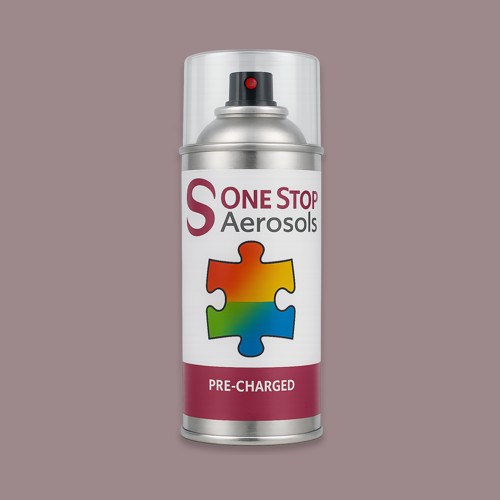 NCS S 4010-R10B Aerosol Spray Paint