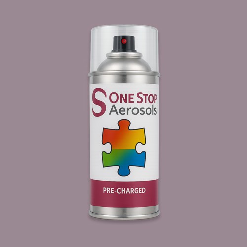 NCS S 4010-R30B Aerosol Spray Paint