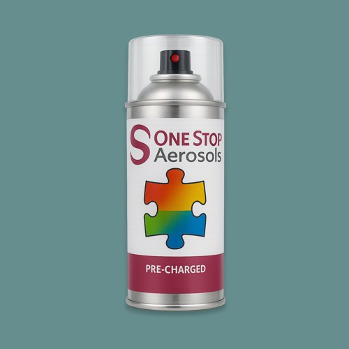 NCS S 4020-B50G Aerosol Spray Paint
