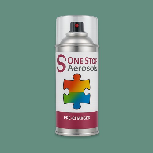 NCS S 4020-B90G Aerosol Spray Paint