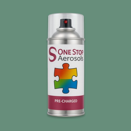 NCS S 4020-G Aerosol Spray Paint