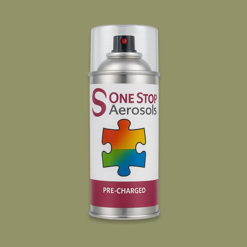 NCS S 4020-G70Y Aerosol Spray Paint