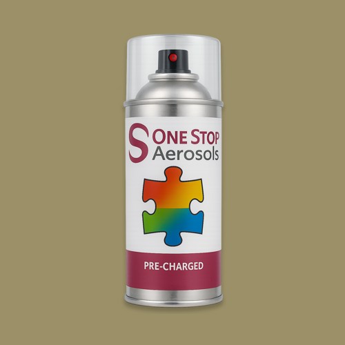 NCS S 4020-G90Y Aerosol Spray Paint
