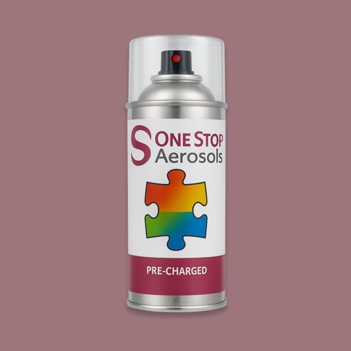 NCS S 4020-R10B Aerosol Spray Paint