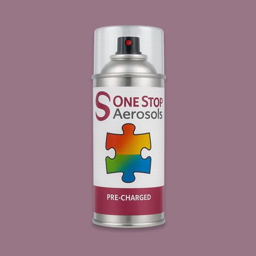 NCS S 4020-R30B Aerosol Spray Paint