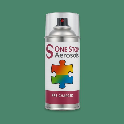 NCS S 4030-G Aerosol Spray Paint