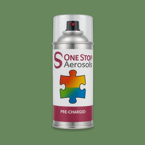 NCS S 4030-G30Y Aerosol Spray Paint