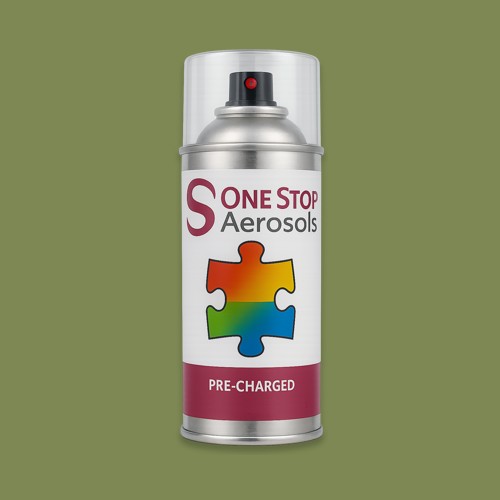 NCS S 4030-G50Y Aerosol Spray Paint