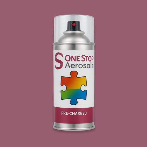 NCS S 4030-R20B Aerosol Spray Paint