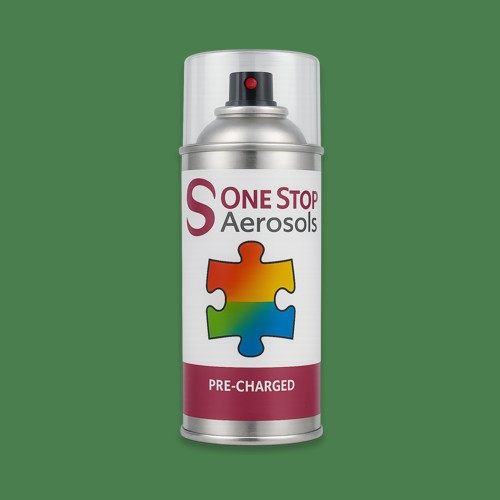 NCS S 4040-G20Y Aerosol Spray Paint