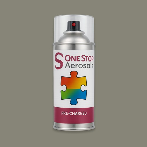 NCS S 5005-G80Y Aerosol Spray Paint